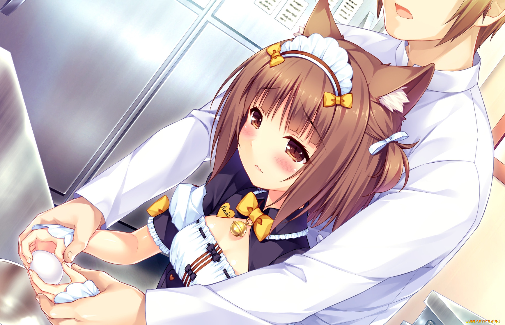 , nekopara, 